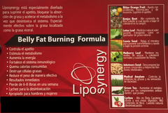 Liposynergy Thermo Booster